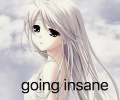 anime gal insane.png